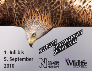 Teaser Wildlife