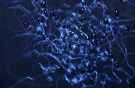 K3_01_Csaba-Forrasy_Blauer-Walzer_Blue-waltz