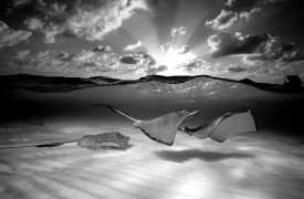doubilet-web-08