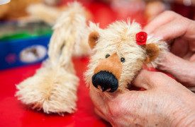 stm-teddy-6149