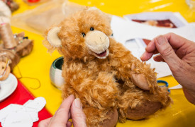 stm-teddy-6158