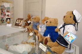 teddy6717F7