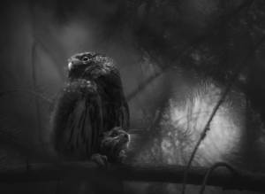 Enj 2025 Gesamtsieger Luca Lorenz De Enj 2025 Gesamtsieger Luca Lorenz De