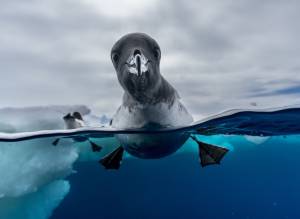 Enj 2025 Jonas Beyer Dk Enj 2025 Jonas Beyer Dk