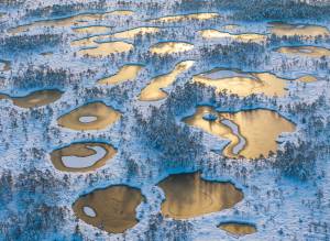 Enj 2025 Sven Zacek Est Enj 2025 Sven Zacek Est