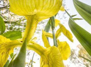 Enj 2025 Theo Bosboom Nl Enj 2025 Theo Bosboom Nl