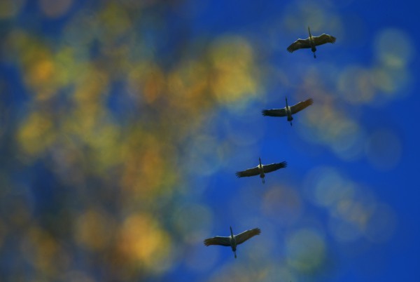 Märchenstunde – Naturfotografien von Klaus Tamm 