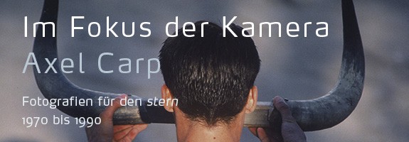 teaser