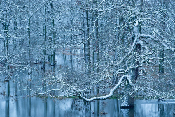 © Dieter Damschen
