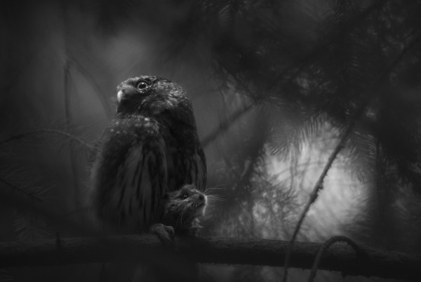 © GDT ENJ 2025, Luca Lorenz, Stille Verzweiflung